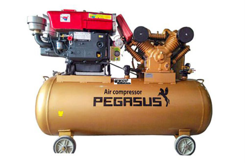may nen khi dau no pegasus tm-w-2.0/12.5-500l hinh 0