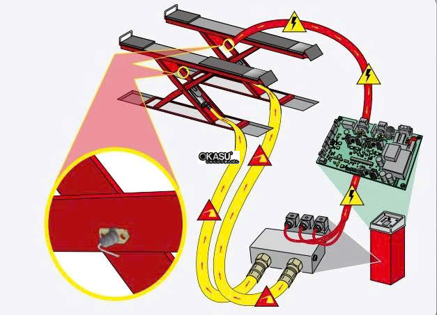 cau nang cat keo cho kiem tra goc dat banh xe erco x4300ct hinh 1