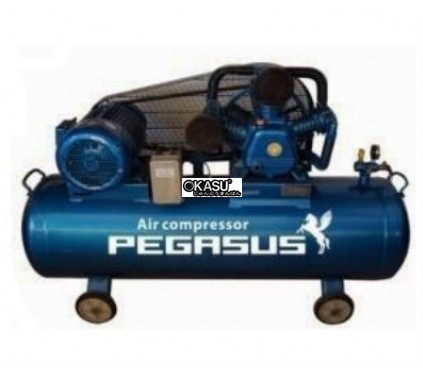 may nen khi day dai pegasus tm-4hp-230l hinh 0