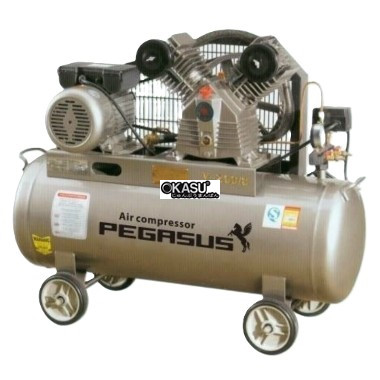 may nen khi day dai pegasus tm-3hp-180l hinh 0