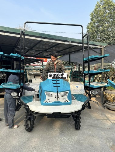 may cay lua ngoi lai 6 hang chay dau hk- 6d1 hinh 0