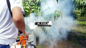 may phun khoi diet con trung han quoc vino – viko hinh 0