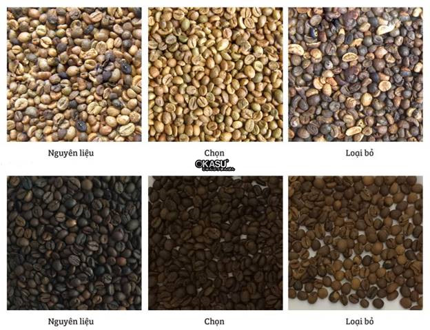 may phan loai mau ca phe hinh 7