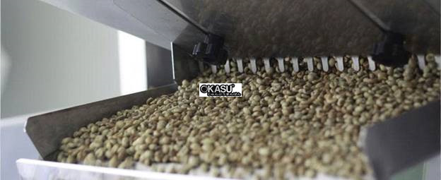 may phan loai mau ca phe hinh 4