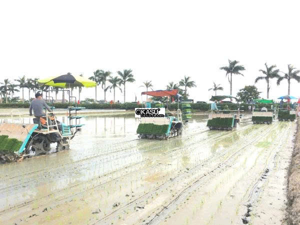 may cay lua kubota spv-6cmd hinh 1