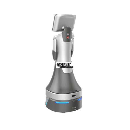 robot dich vu ai greetingbot nova hinh 0