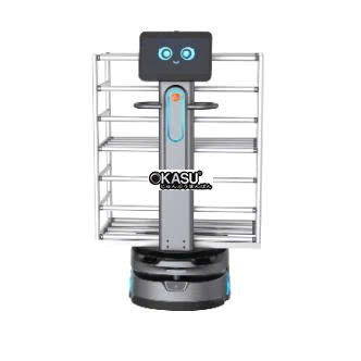 robot hau can orionstar hinh 2