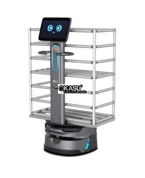 robot hau can orionstar hinh 15