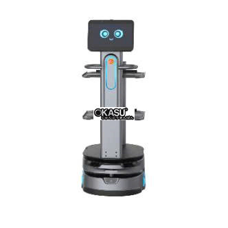 robot hau can orionstar hinh 1