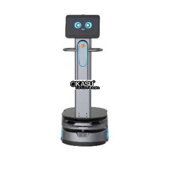 robot hau can orionstar hinh 0