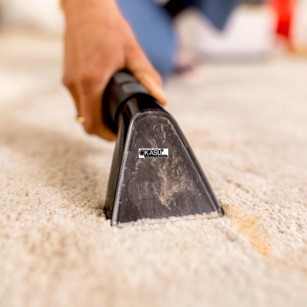 may giat tham gia dung karcher se 2 spot hinh 2