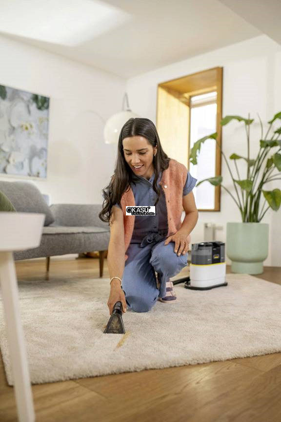 may giat tham gia dung karcher se 2 spot hinh 0