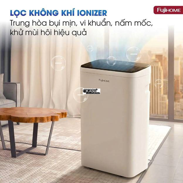 may hut am fujihome dh10lite cong suat 10 lit/ngay hinh 2